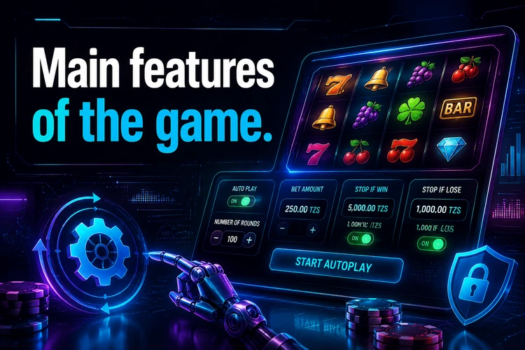 Main features of the game